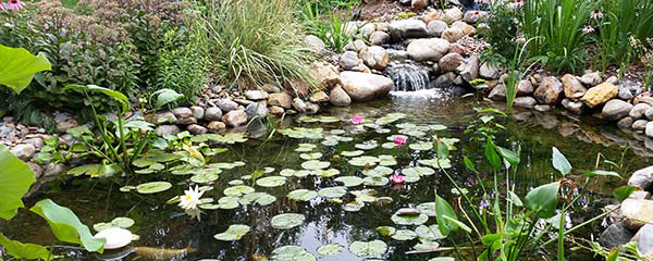 Heartland Gardens of Omaha Outdoor Pond Design and Installation